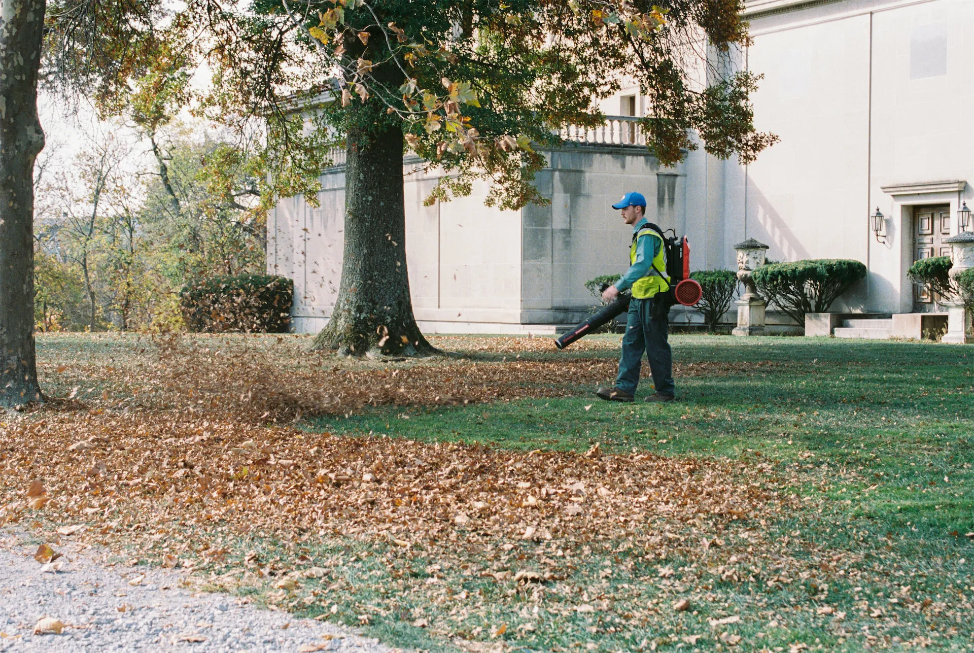 Seasonal yard cleanup in progress