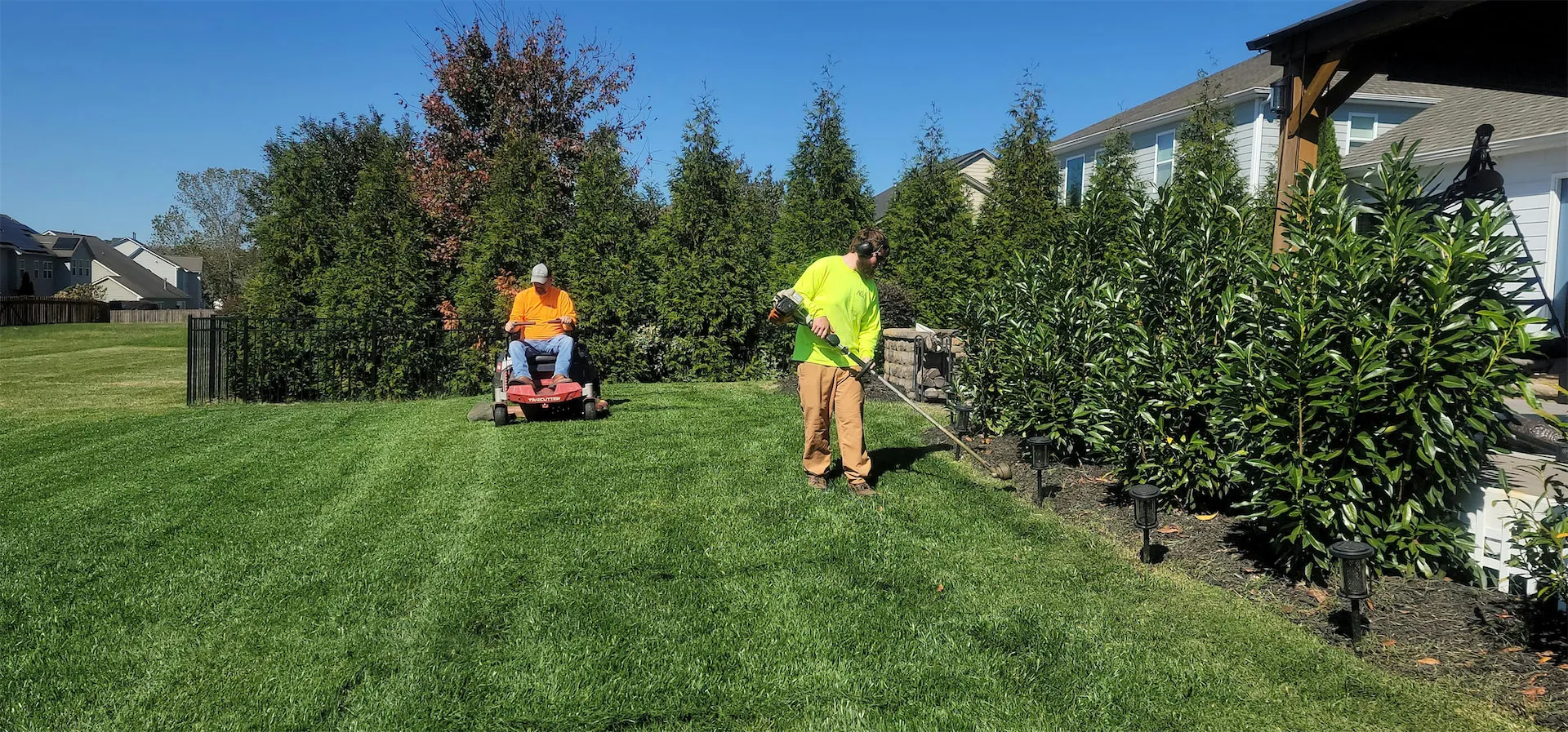 Freshly maintained residential lawn